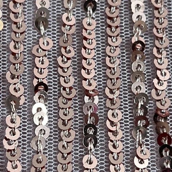 Loft Rose Gold Mesh Sequin Midi A-Line Skirt Lined Side Zip Size 10P NWT - Picture 4 of 12